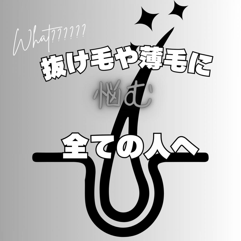 抜け毛、薄毛に悩む全ての方へ。今日からできる正しい知識とケアを伝えます