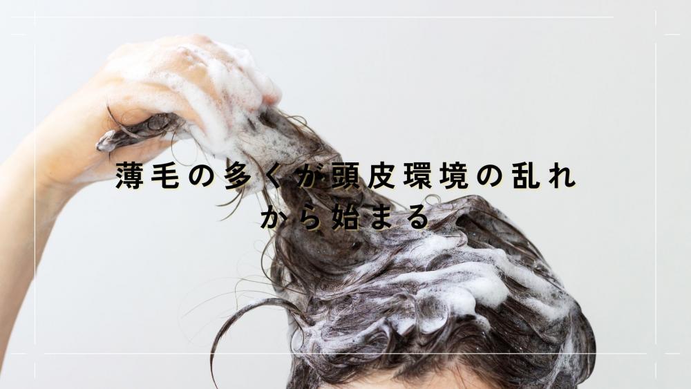 薄毛の多くが頭皮環境の乱れから始まる