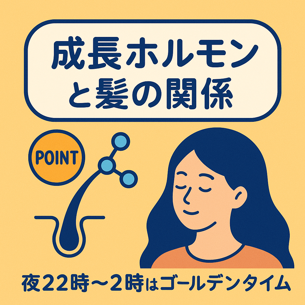 １.成長ホルモンと髪の関係