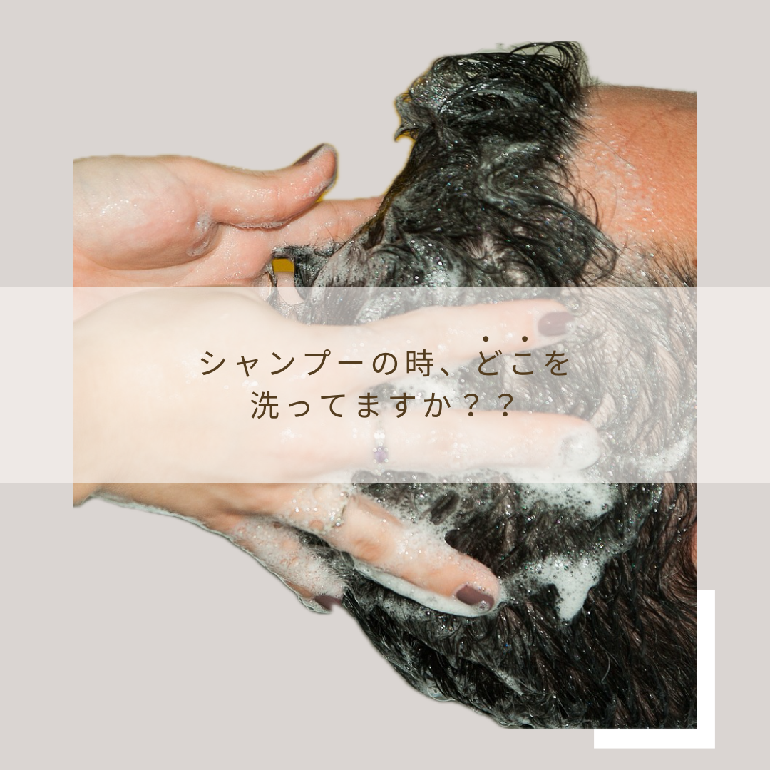 ①シャンプーはどこを洗っていますか？？
