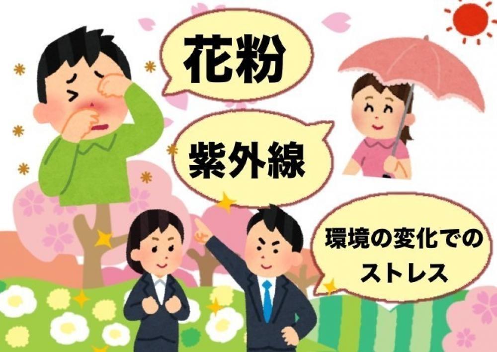 【春】のダメージ