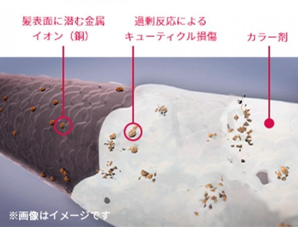 イルミナカラーとは？