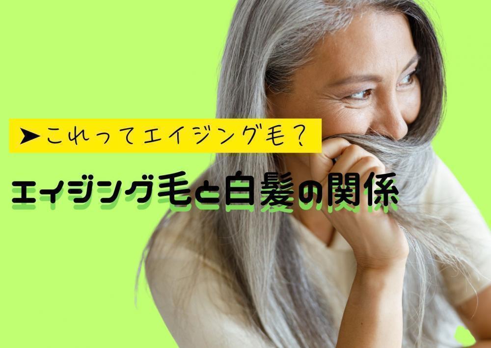 エイジング毛と白髪の関係