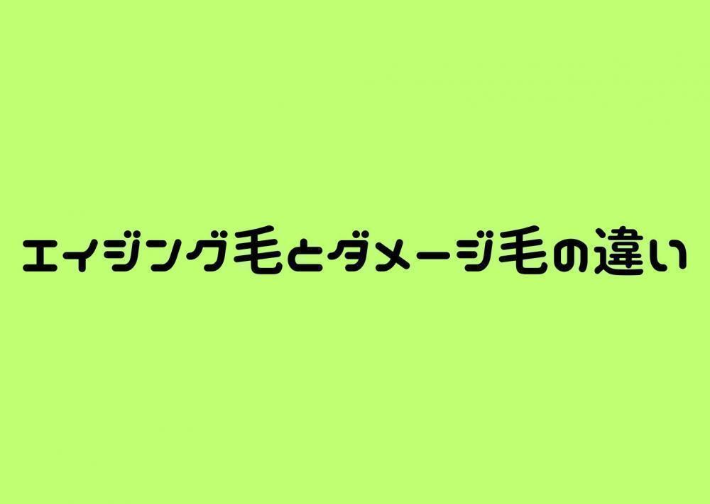 エイジング毛とダメージ毛の違い