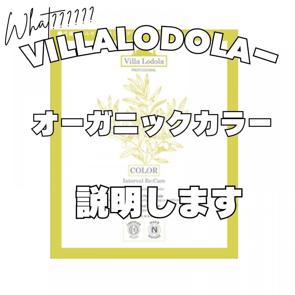 「オーガニックって何が違うの？」そんな疑問に答えるヴィラロドラカラーの魅力