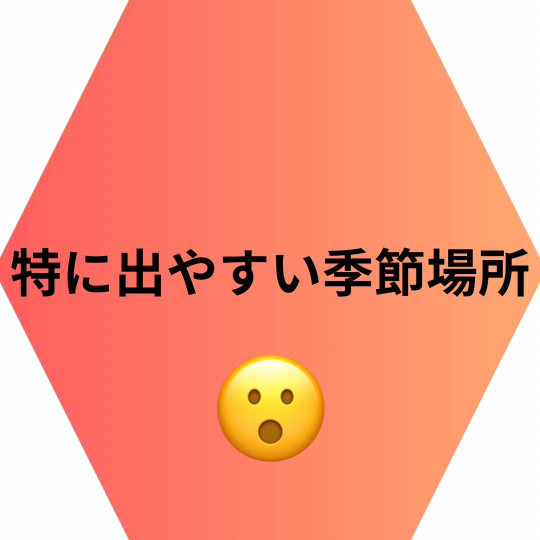 特に出やすい季節　場所