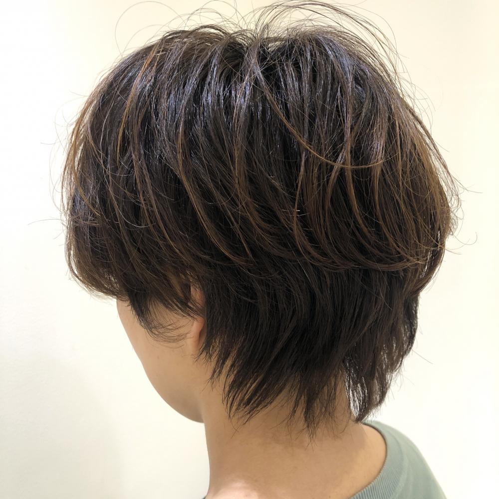 手入れは大変ですか？