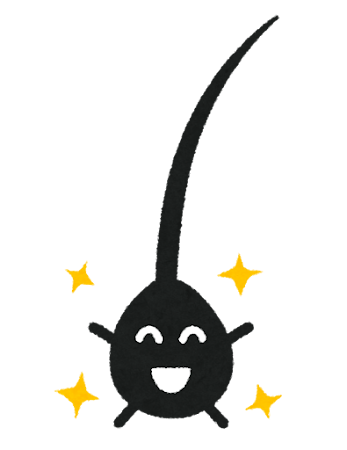 髪の毛は何から作られているの？