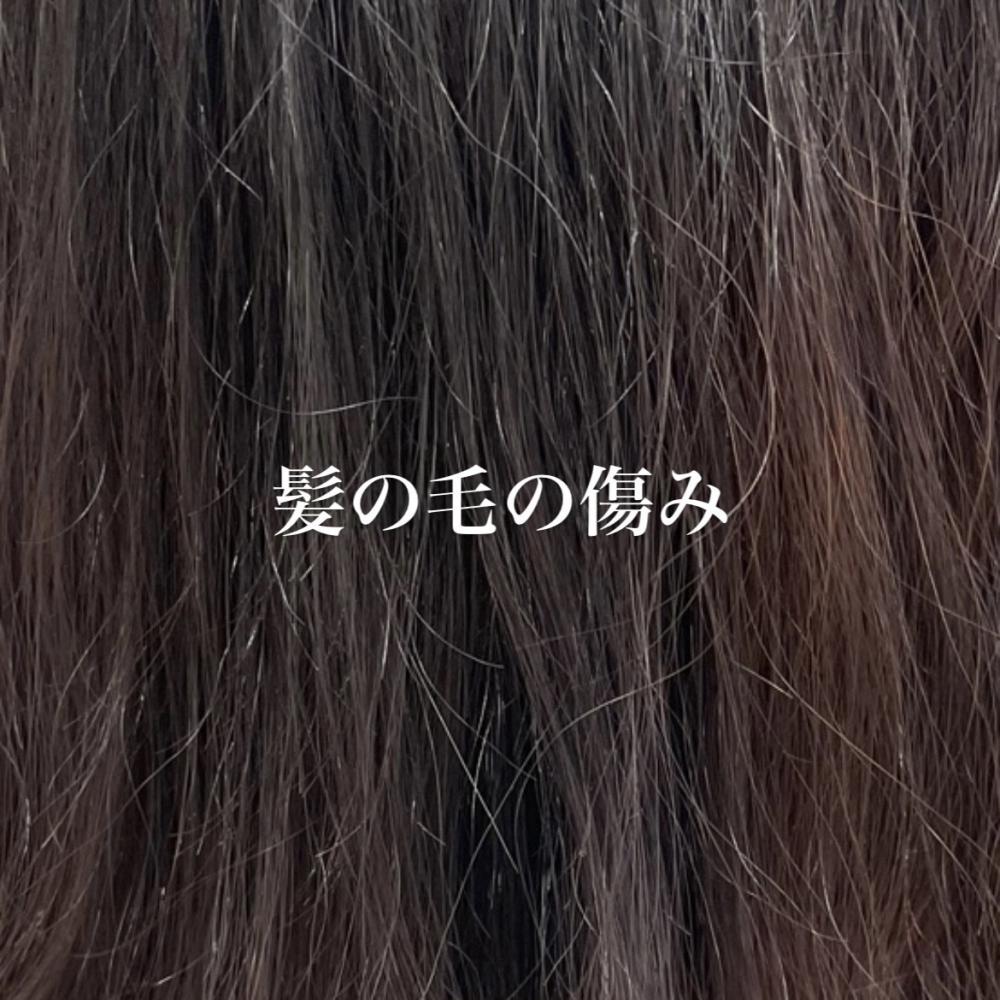 髪の毛の傷みの種類と対処法