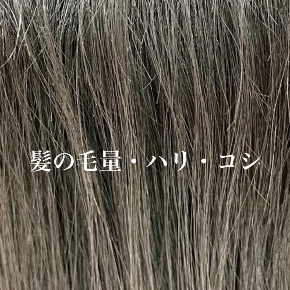 髪の毛量・ハリ・コシについて