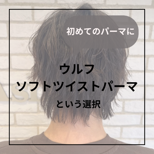 初めてのパーマにウルフソフトツイストパーマという選択