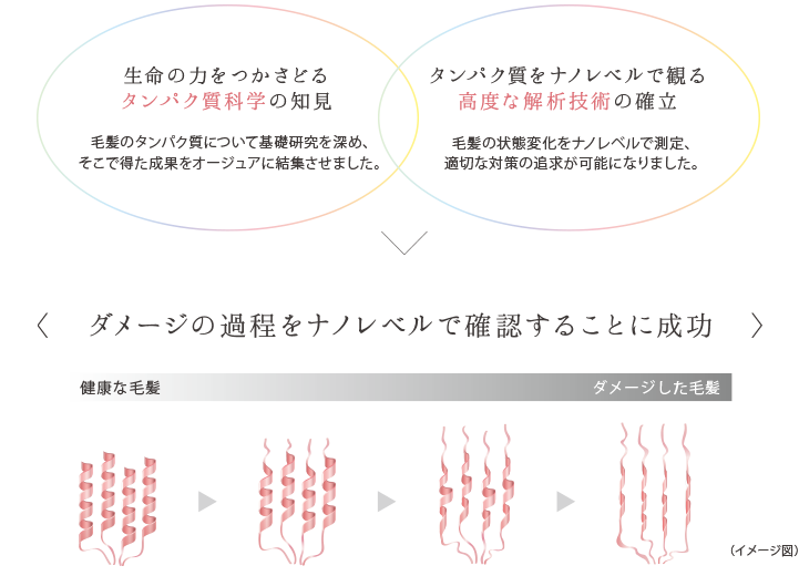 「髪」に、本質的な美しさを。