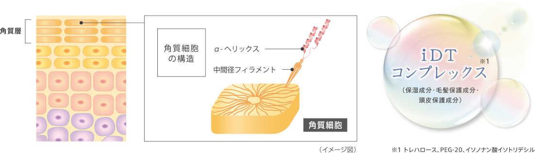 「地肌」に、健やかな環境を。
