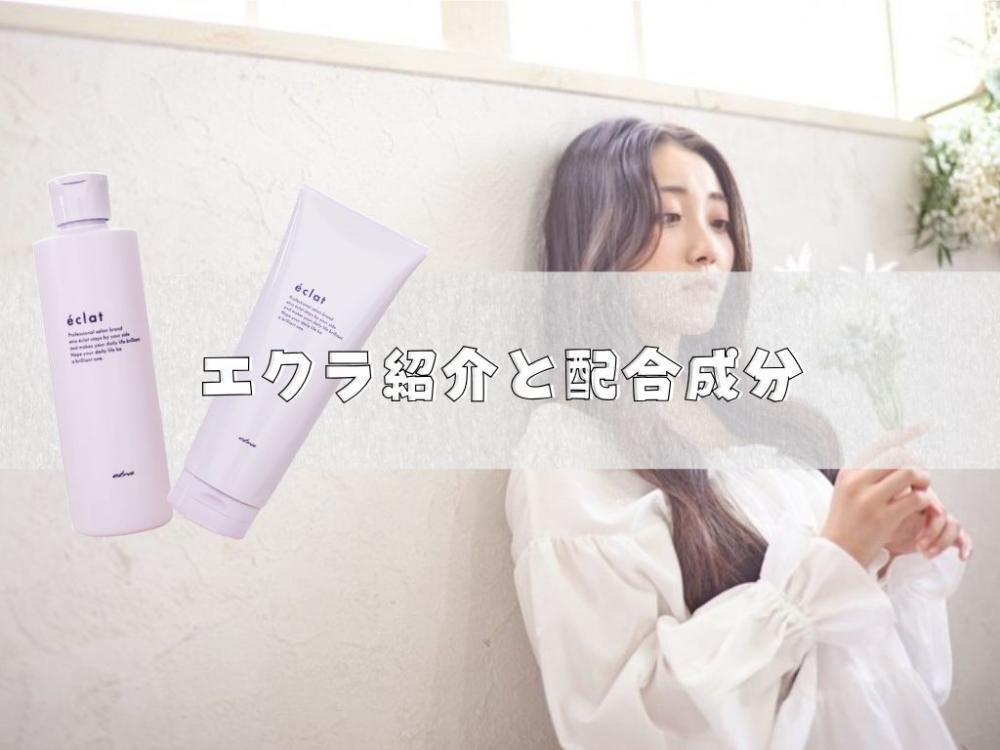 エクラ紹介と配合成分　※リンクあり※