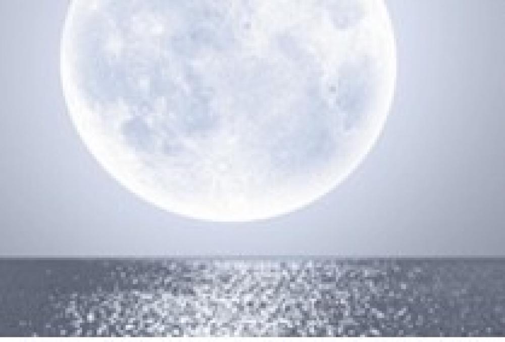 MOONLIGHT