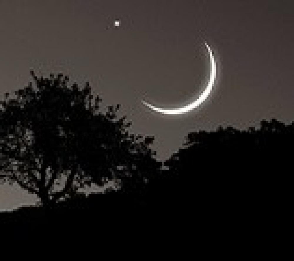 NIGHTSKY
