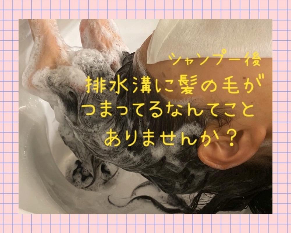 1日の抜け毛の本数