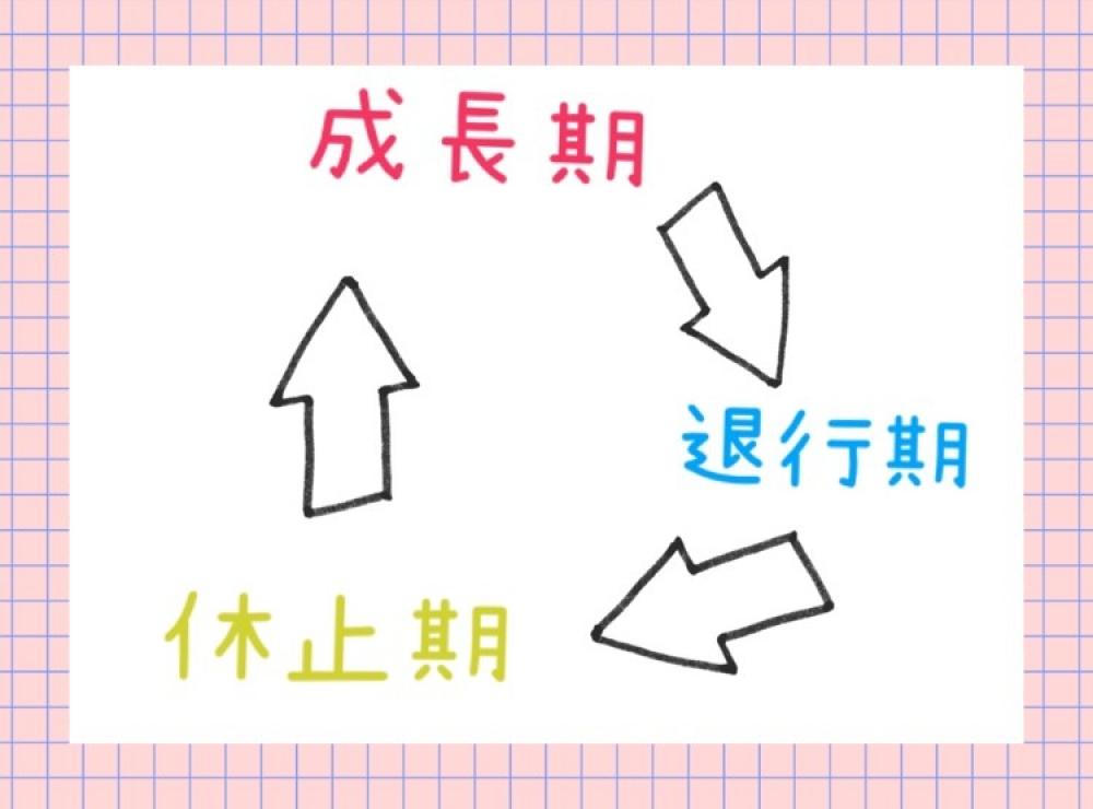 ヘアサイクル