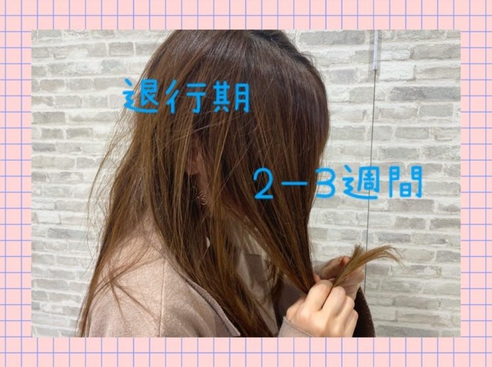 退行期