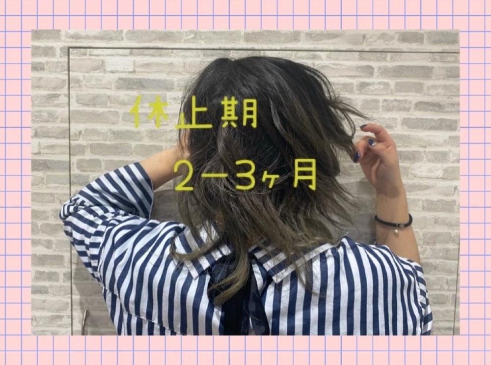 休止期