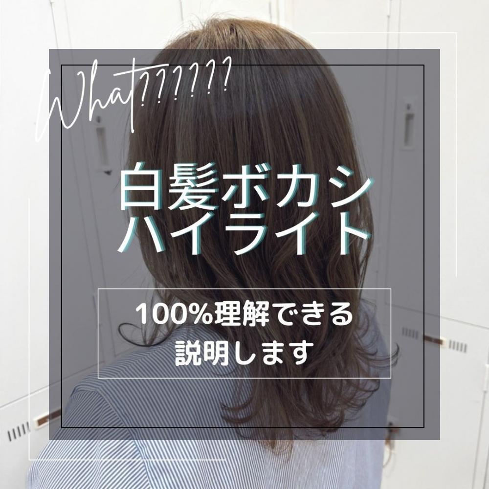 白髪ぼかしハイライトって？