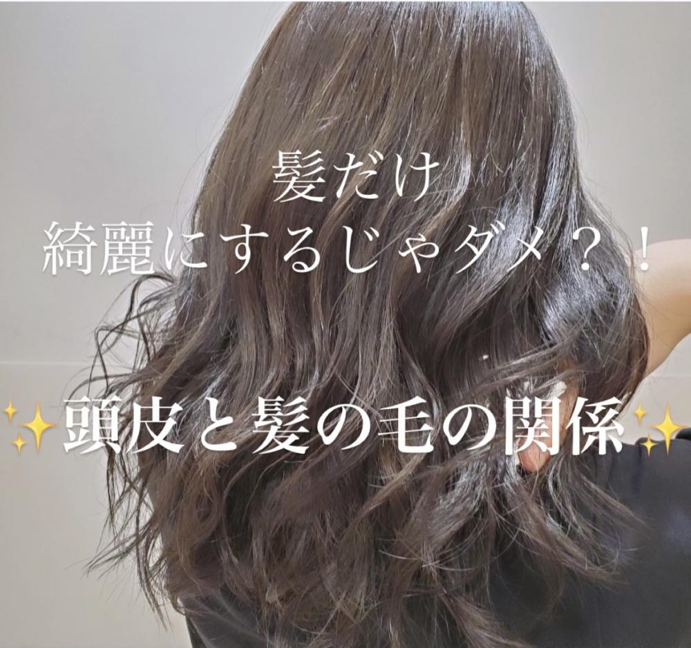 ✨頭皮と髪の毛の関係性✨
