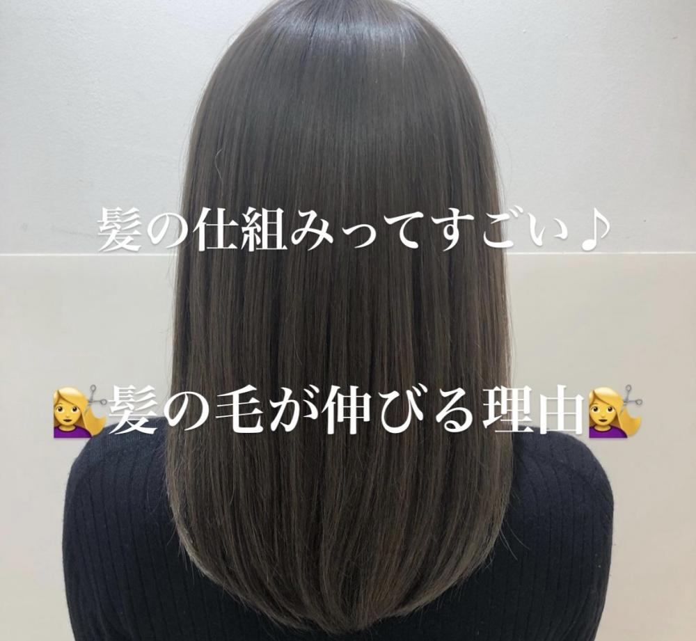 髪の毛が伸びる理由