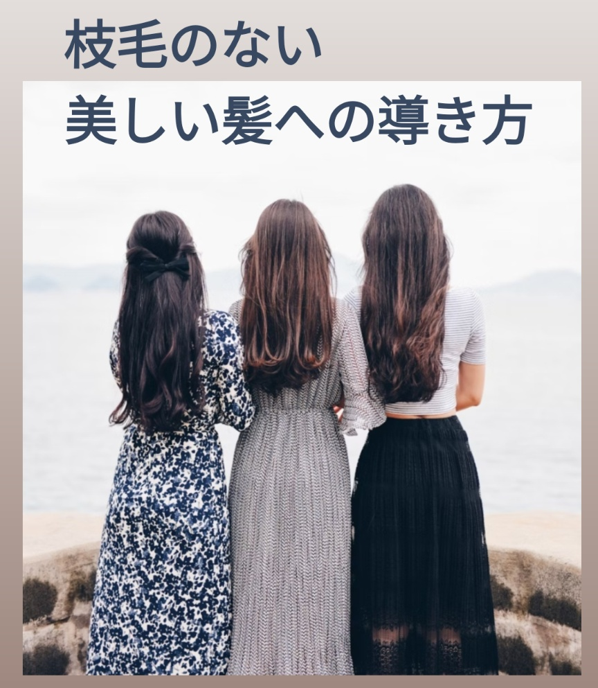 美しい髪への導き方