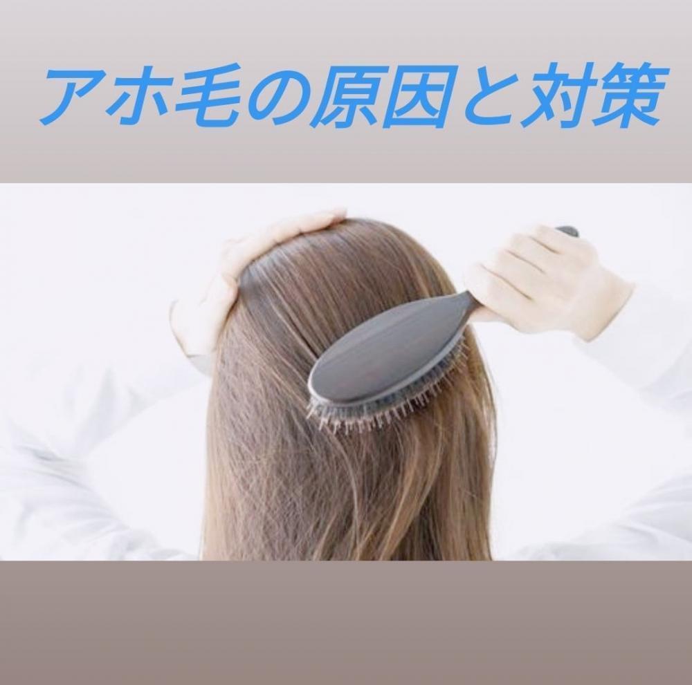 アホ毛の原因と対策
