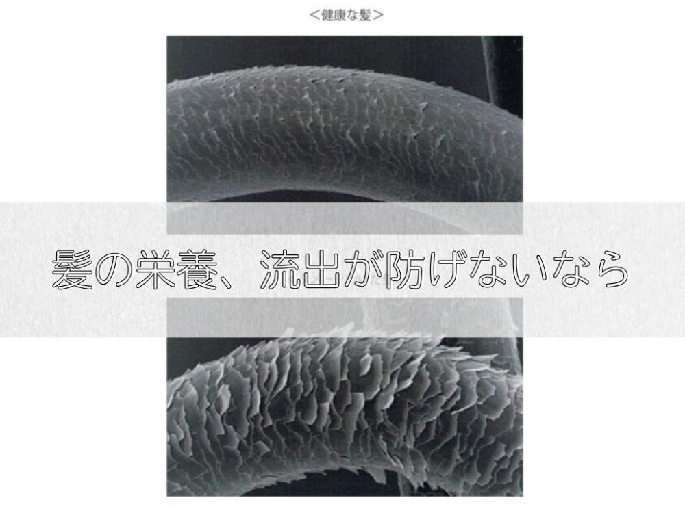 たんぱく質の流出は避けられないなら。。。