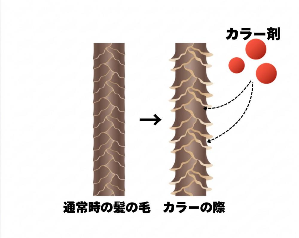 実はカラーはダメージが大きい？！