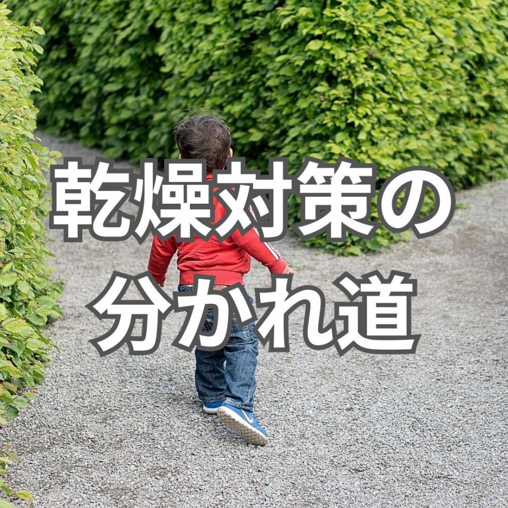 春はなぜ髪がパサつきやすいの？