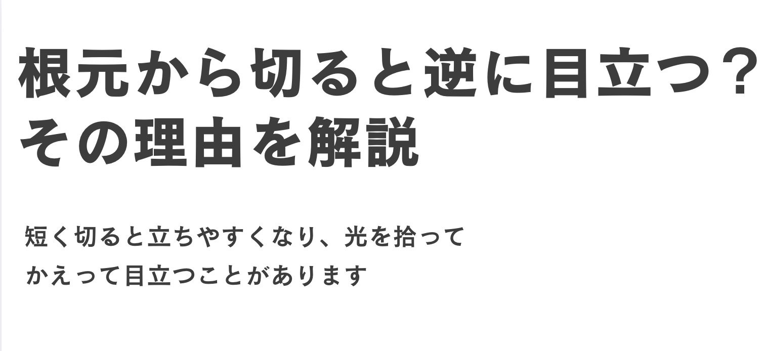 根元から切ると逆に目立つ？その理由を美容師目線で解説