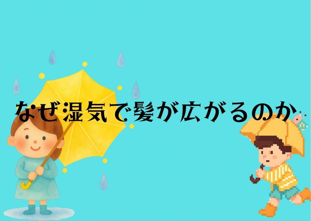 なぜ湿気で髪が広がるの？