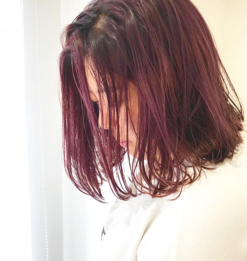 berry collar×ボブ