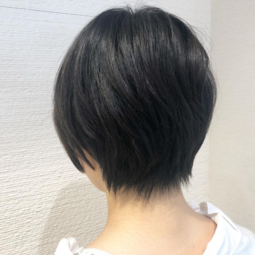 【乾かすだけでキマる】ハンサムショート
