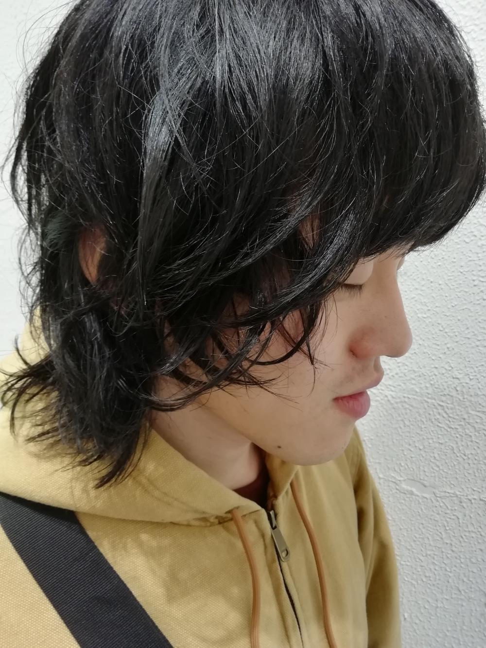 マッシュウルフ×レイヤー