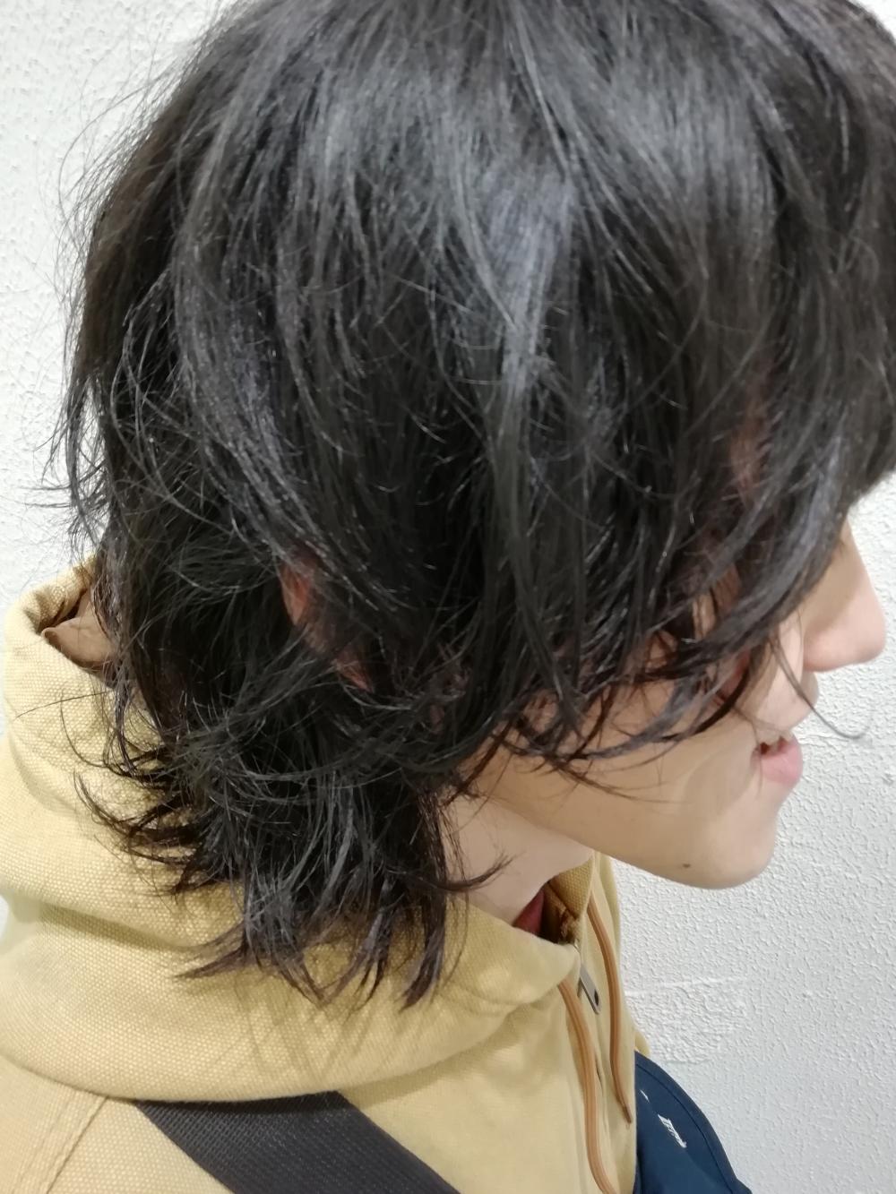 マッシュウルフ×レイヤー｜サブ写真②