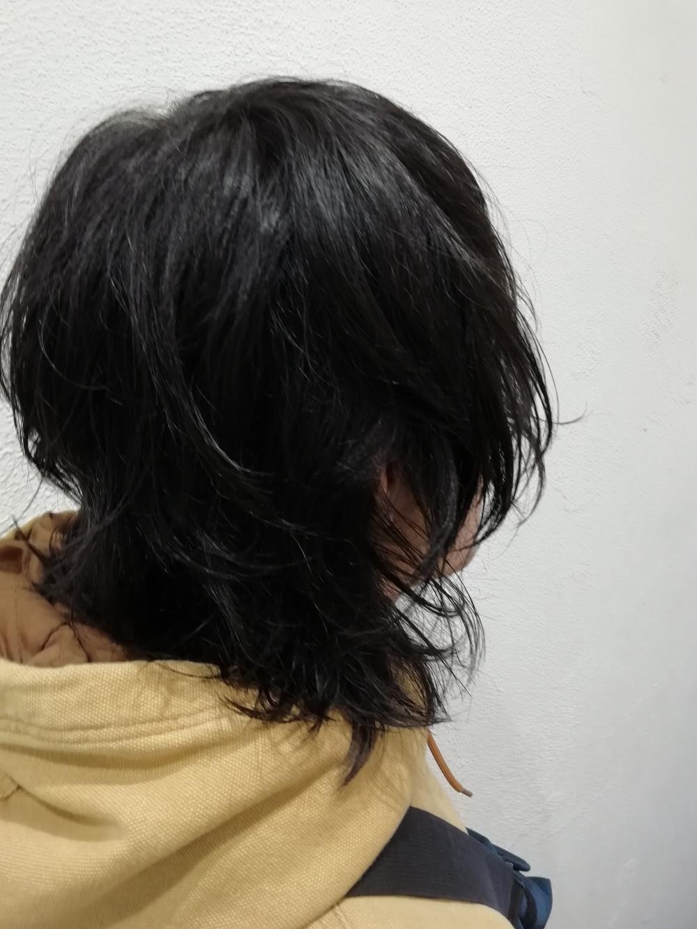 マッシュウルフ×レイヤー｜サブ写真③