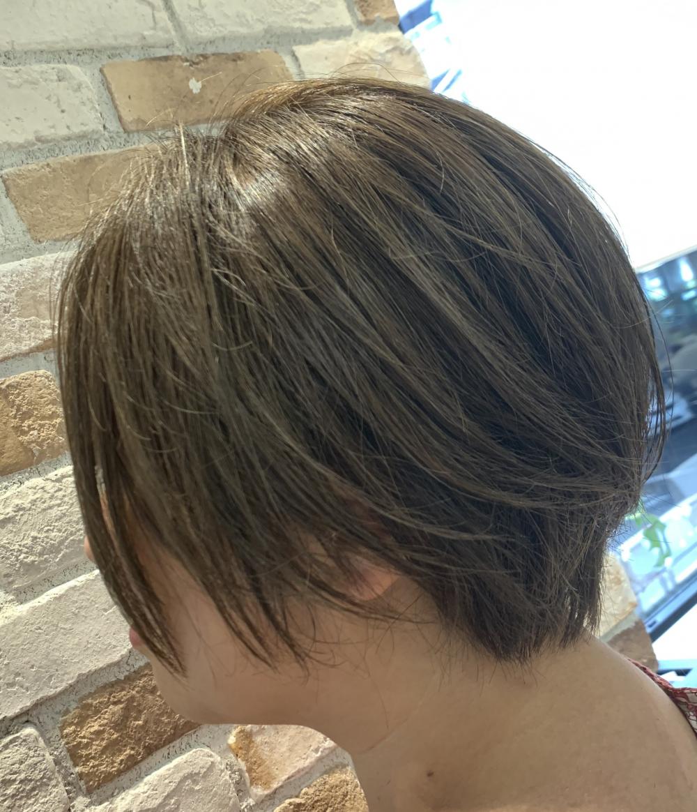 大人ショート