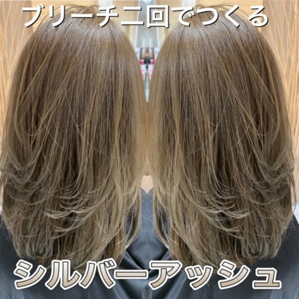 モテシルバーアッシュ