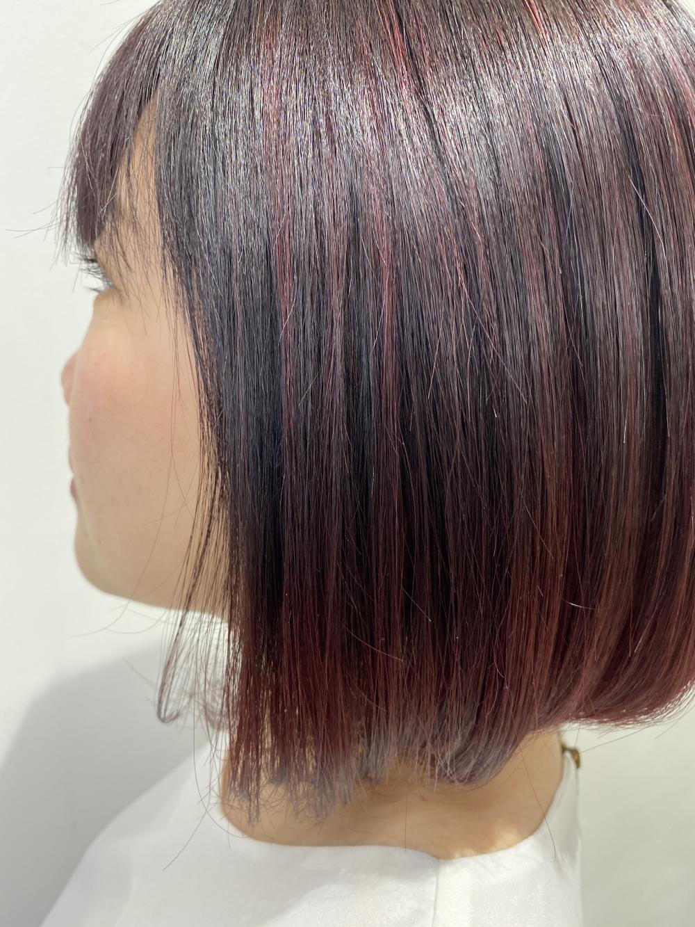 ハイライト×グラデーション