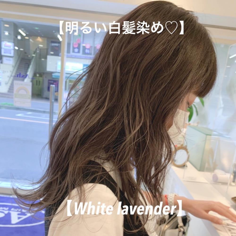 ＼明るい白髪染め×ホワイトラベンダー／