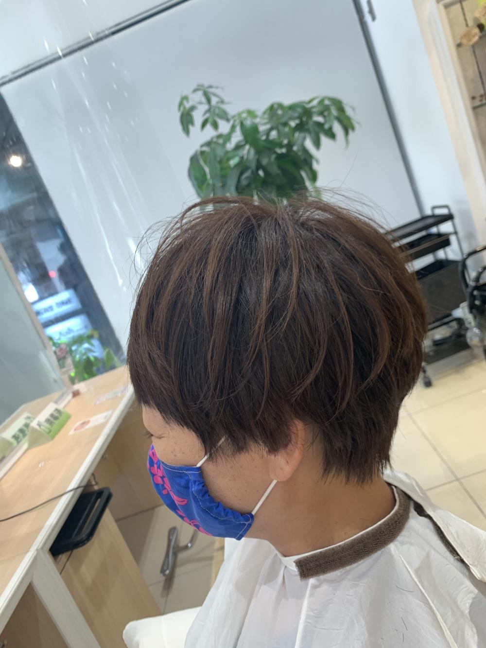 ショート