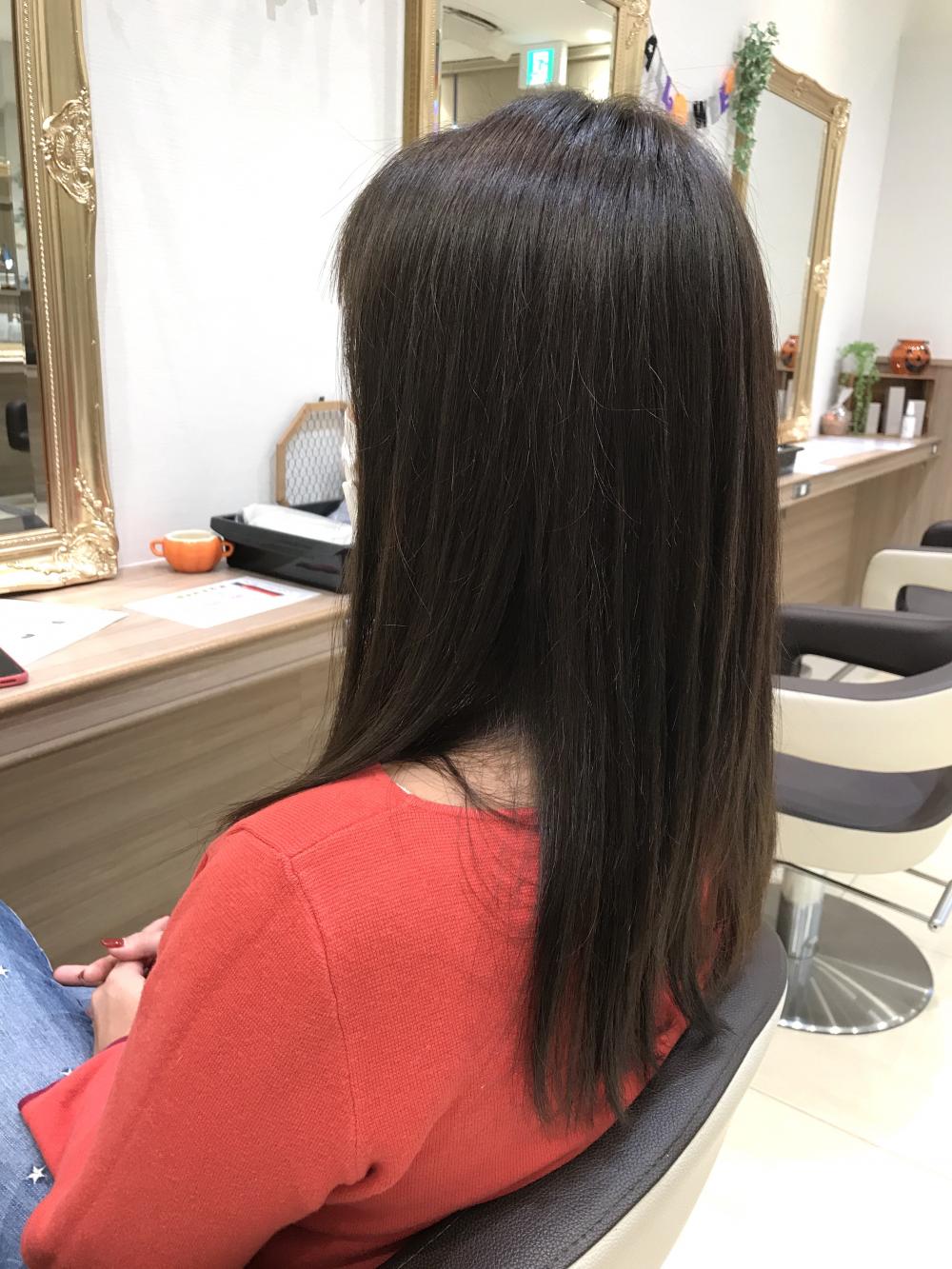 イルミナカラー ×フォレスト｜サブ写真②