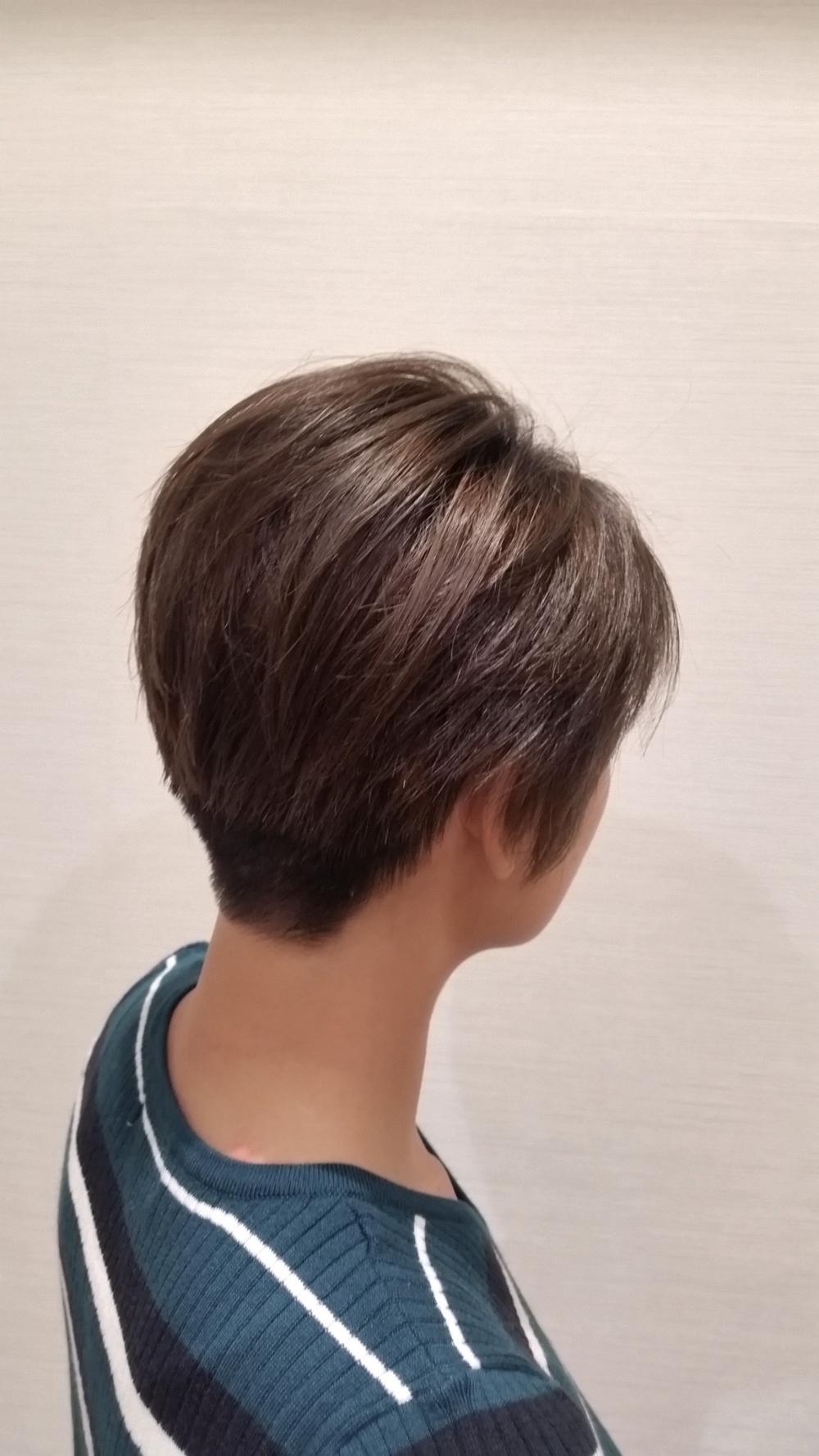 イルミナカラー ×フォレスト