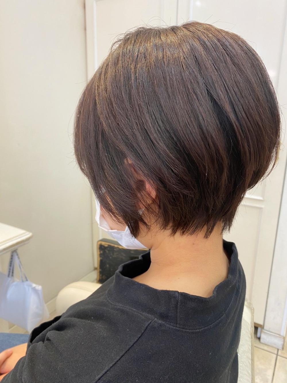 コンパクトショート