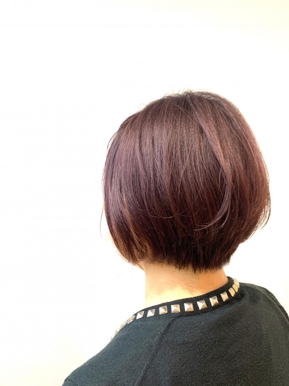 ショート