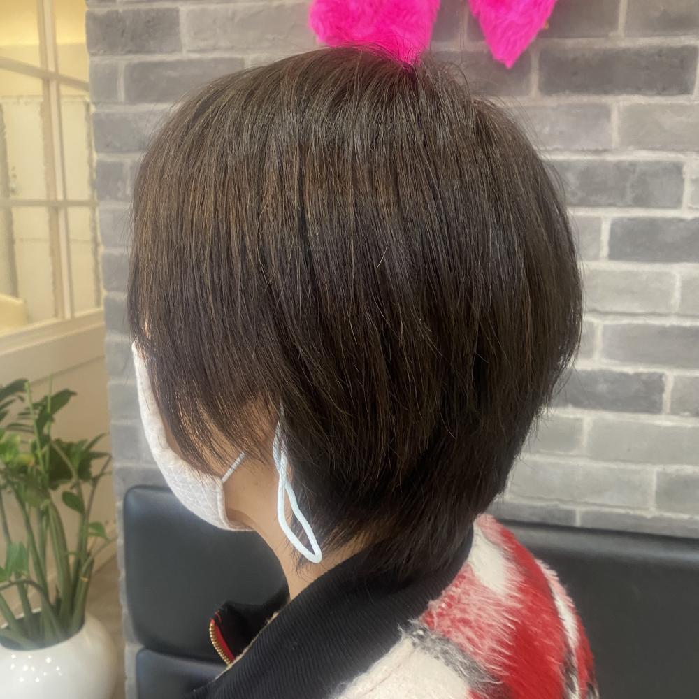 レディースショート
