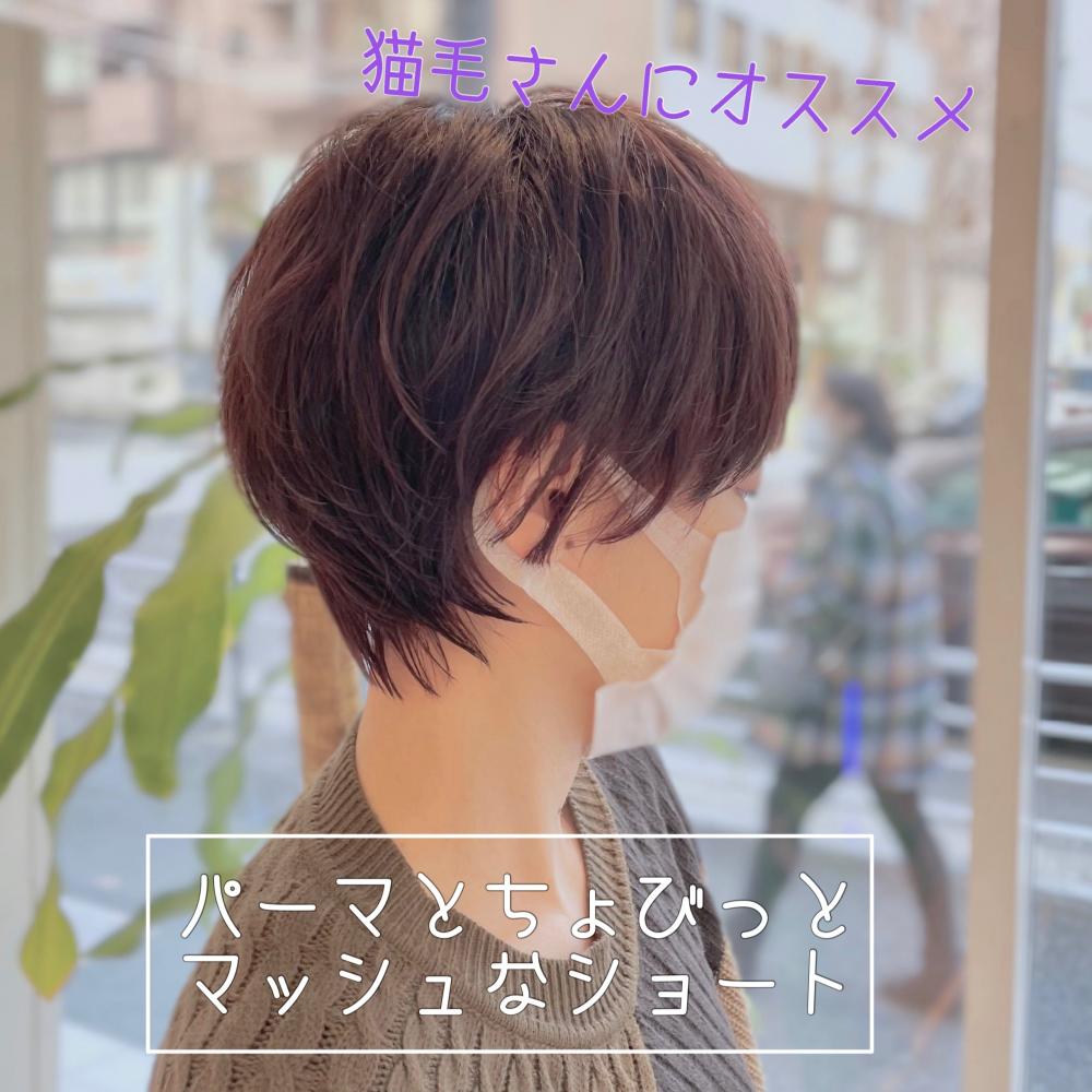 猫毛さんにオススメの柔らかパーマ